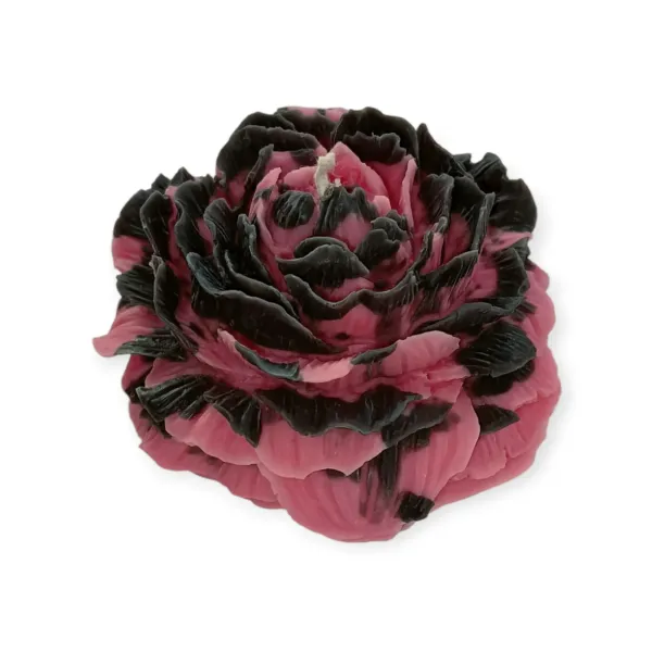 Peonia Salvaje