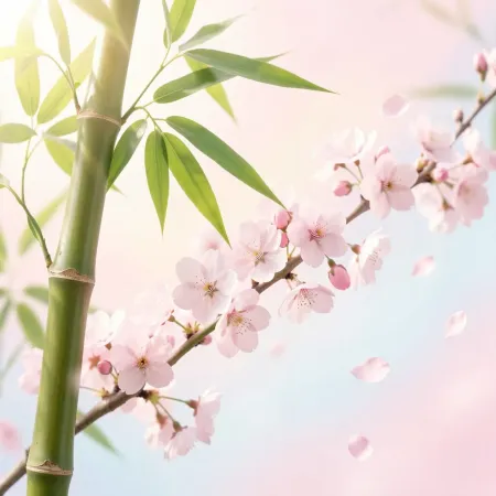 Bambú y flor de cerezo