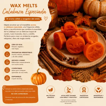 Wax Melts Calabaza Especiada | Aroma Otoñal | La Hacienda Chic