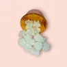 Pastillas de Cera